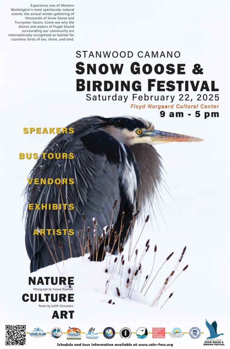 Snow Goose Festival  2025